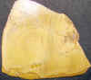 10xdeschuttes.jpg (755139 bytes)