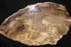 19xmedwood.jpg (912082 bytes)