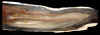 24xlongwood-4.jpg (415709 bytes)