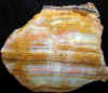 28xbandedonyx.jpg (821216 bytes)