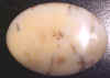 3852-4.jpg (25995 bytes)