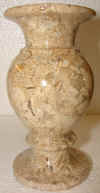 3x6fossil-10.jpg (442949 bytes)