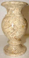 3x6fossil-13.jpg (472074 bytes)