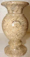 3x6fossil-15.jpg (498930 bytes)