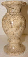 3x6fossil-6.jpg (464616 bytes)