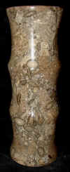 3x8coral-2.jpg (177788 bytes)