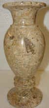 4x10fossil-6.jpg (364420 bytes)