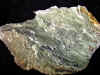 8xgreenmoss.jpg (1107156 bytes)