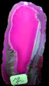 babyagate-19.jpg (186146 bytes)