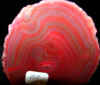 babyagate-20.jpg (939691 bytes)