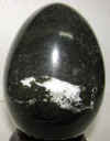 blackegg7inch-2.jpg (215484 bytes)