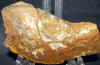 cabslab-4.jpg (619220 bytes)