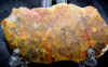 cabslab-52.jpg (608582 bytes)