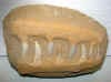 crocteeth-1.jpg (816267 bytes)