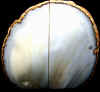 eq-62.jpg (283454 bytes)