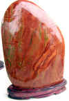 jasp-70.jpg (676904 bytes)