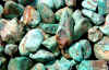 lggreen.jpg (674797 bytes)