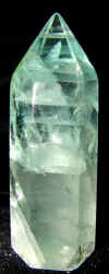 nuflu-10_small.jpg (4008 bytes)