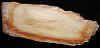 palm-6.jpg (471524 bytes)