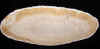 palm-7.jpg (530797 bytes)
