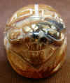 scarab-49.jpg (501094 bytes)