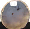 thk-11.jpg (164087 bytes)