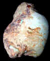 turqchunk-6.jpg (266464 bytes)
